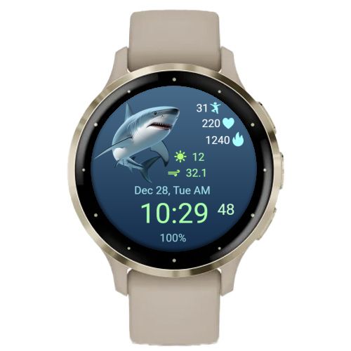 Shark 02 · Screenshot 2