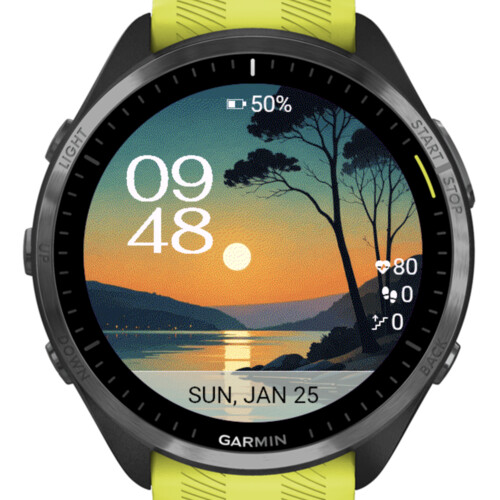Sunset Lake Trees 3