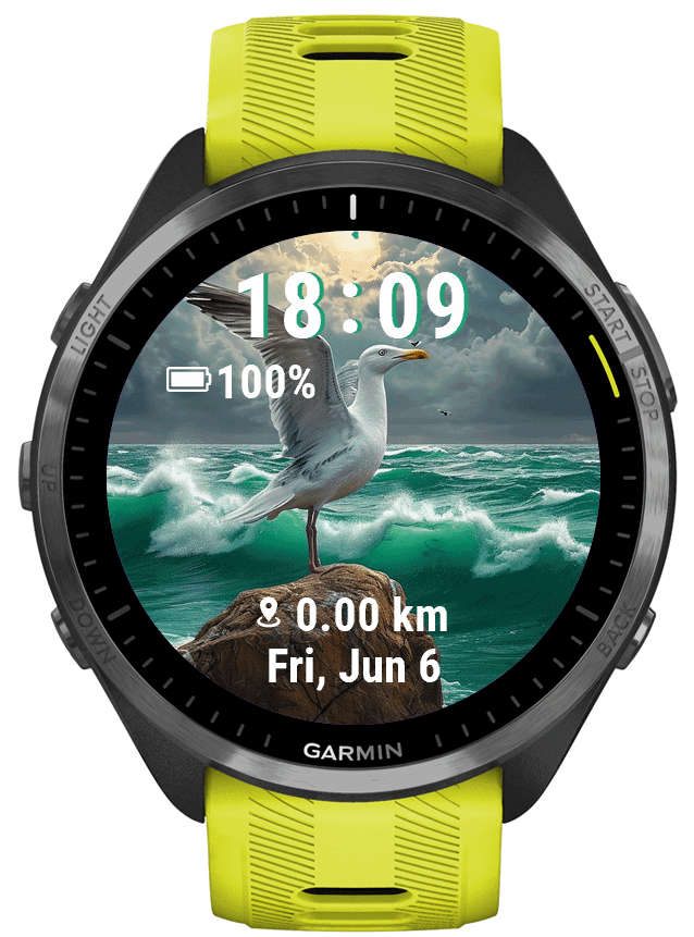 SeaBird · Screenshot 0