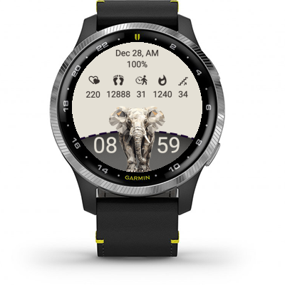 Elephant 011 · Screenshot 0