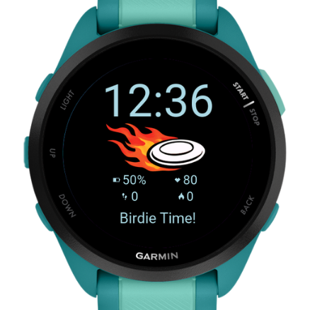 Disc Golf Watch Face- Sports Stats · Screenshot 1