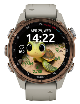 Cartoon Turtle · Screenshot 0