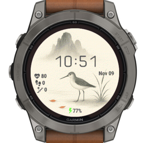 Silent Shore – Japanese Minimal Bird · Screenshot 0