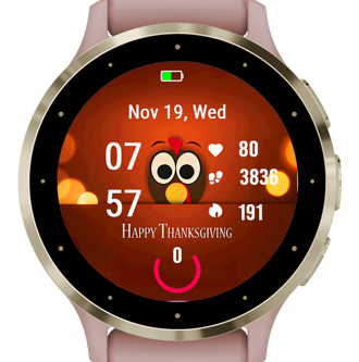 Turkey · Screenshot 3