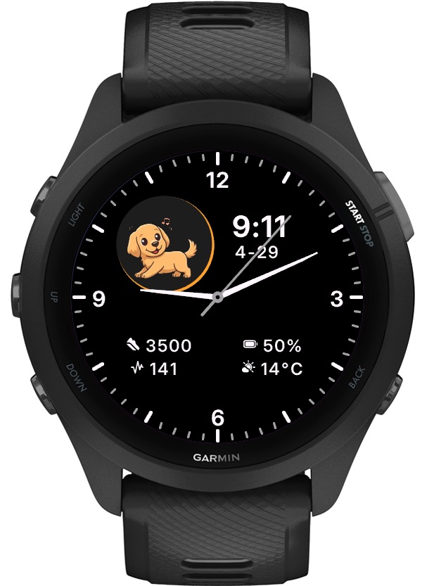 Pet Analog Animated - Golden Retriever Dog - Kpay 3