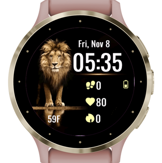 Golden Lion · Screenshot 1