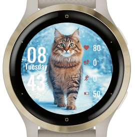 Beautiful Cat · Screenshot 3