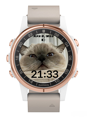 Cat · Screenshot 2