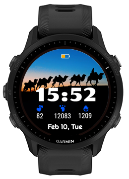 Camel Team · Screenshot 3