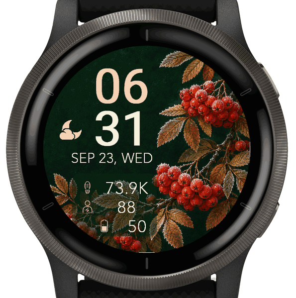 Frosted Berries · Screenshot 3