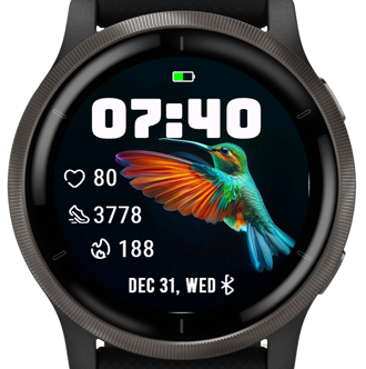 A Hummingbird · Screenshot 0