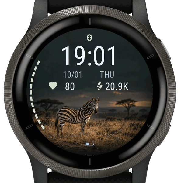 plains zebra · Screenshot 3