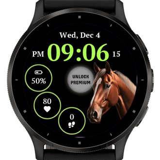 Brown Horse · Screenshot 0