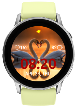 Swan Heart 4