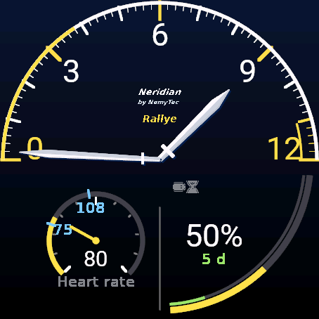 Neridian Rallye Pro – display analogico · Screenshot 4