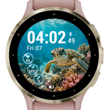 Coral Turtle · G · Screenshot 0