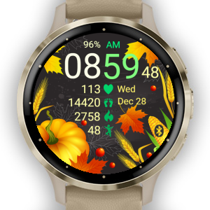 Autumn Pumpkin · Screenshot 2
