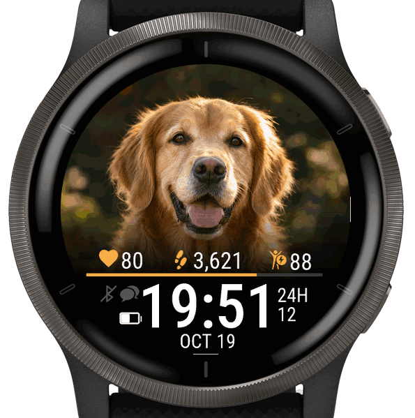 My Pet · Pawtrait · Screenshot 3