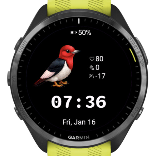 Cute Red Bird · Screenshot 1