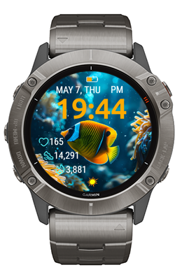 Reef Fish 2