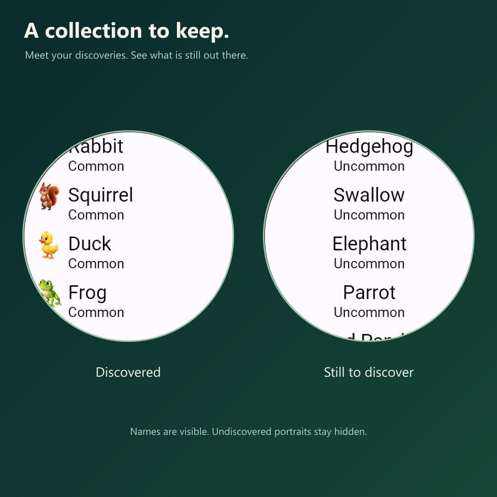 Pocket Zoo: Polished · Screenshot 4