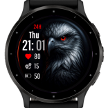 Obsidian Hawk 2