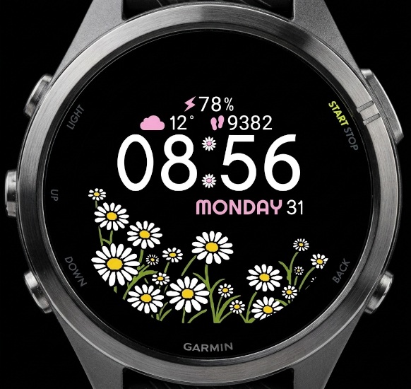 MnM DAISY BLOOM "MIP" · Screenshot 2