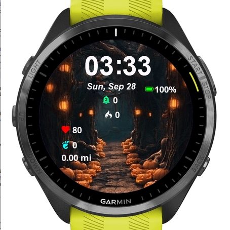 Path Pumpkins · Screenshot 0