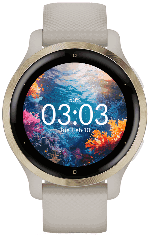 Coral Reef 5