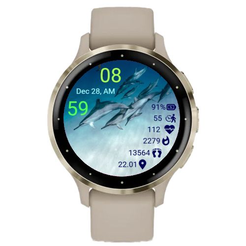 Dolphin Unit · Screenshot 1