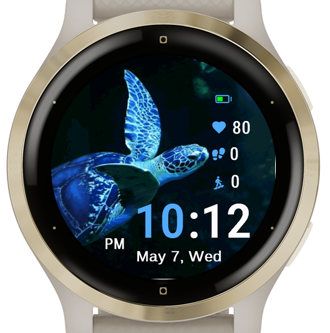 Blue Turtle · Screenshot 2