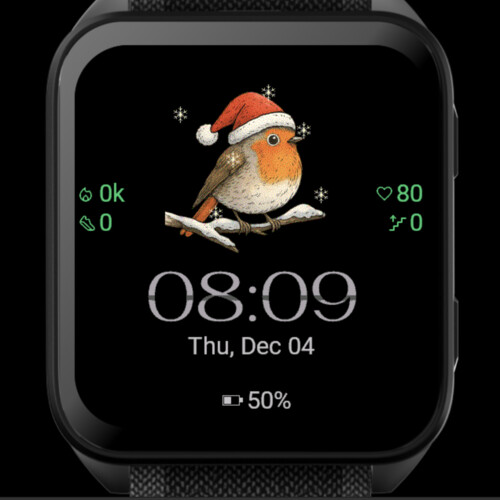 Winter Robin – Snowy Animated · Screenshot 2