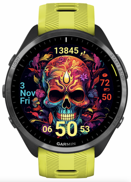 Skull with Flowers 2 · Screenshot 0