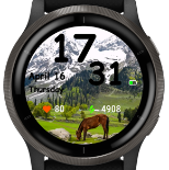 Alpine Steed 5