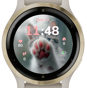Rainy Paws · Screenshot 2