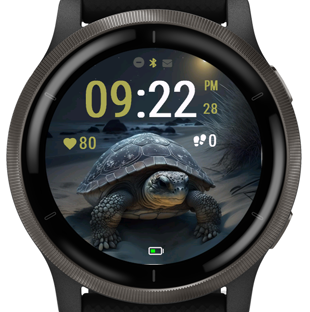 Night Tortoise · Screenshot 3