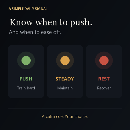 Lucid - Daily Decision Readiness · Screenshot 3