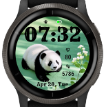 Panda 5