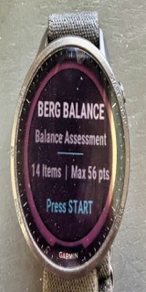 Berg Balance Companion · Screenshot 1