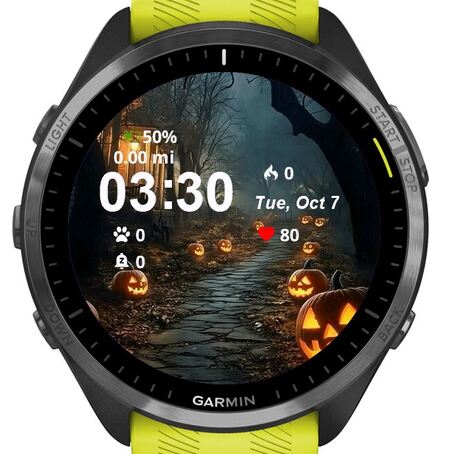 Pumpkins · Screenshot 0