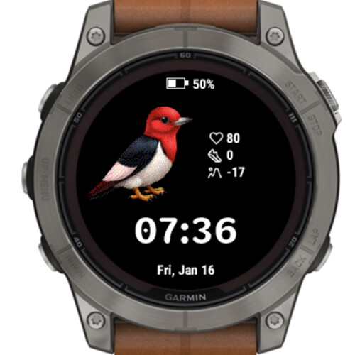 Cute Red Bird · Screenshot 0