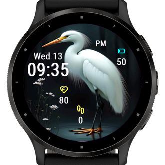 White Egret · Screenshot 0
