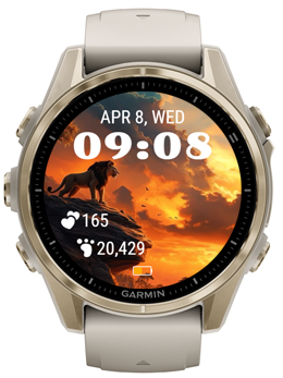 Lion Sunset · Screenshot 0