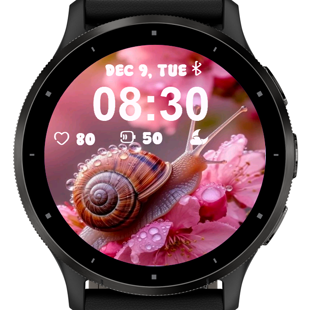 Pink Snail · Screenshot 2