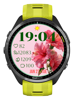 Pink Hibiscus · Screenshot 0