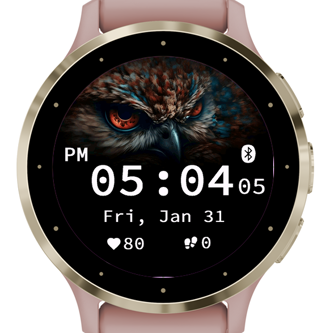 Wise Owl · Screenshot 0