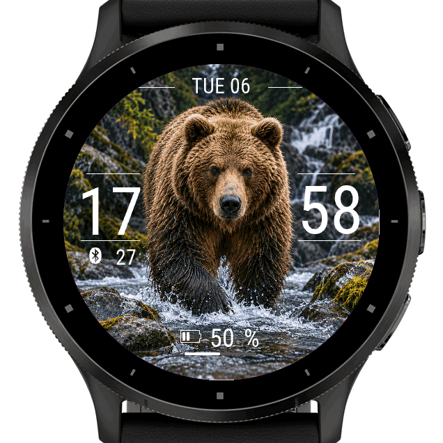 bear · Screenshot 1