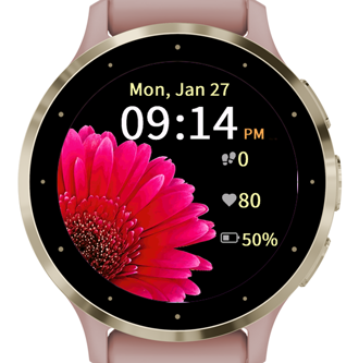 Blooming Gerbera · Screenshot 0