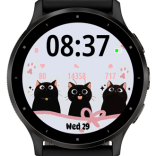 Black cute cat 3