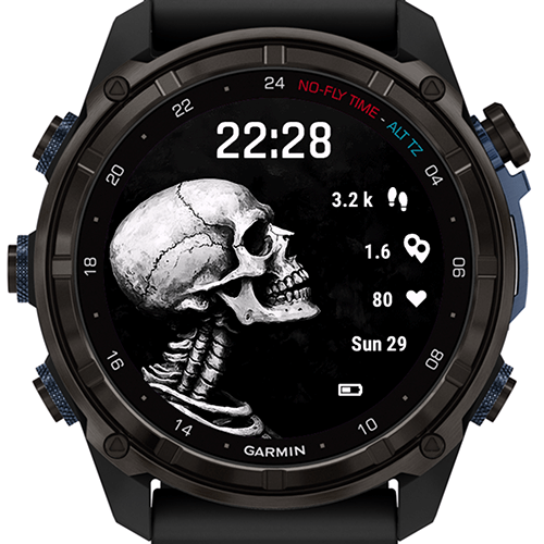 Halloween Skull Portrait G · Screenshot 0